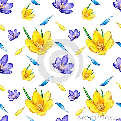 Hand drawn watercolor seamless floral pattern with yellow orange ochre violet purple crocus saffron flowers 3021 Stock Photo