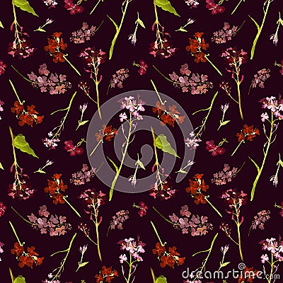 Hand drawn watercolor seamless pattern with field pink and red small flowers and herbs on a dark wine-colored background Stock Photo