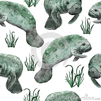 Hand drawn watercolor seamless pattern with manatee cow. Sea ocean marine animal, nautical underwater endangered mammal Cartoon Illustration