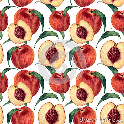 Hand drawn watercolor seamless pattern with peaches. Vintage fruit style. Botanical Illustration isolated on white. Design for Cartoon Illustration