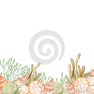 Hand drawn watercolor seashells and seaweed composition boarder. Isolated on white background. Scrapbook, post card, banner, lable Stock Photo