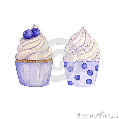 Hand drawn watercolor set of cupcakes decorated with berries. Blueberry. Isolated. for card, poster Cartoon Illustration