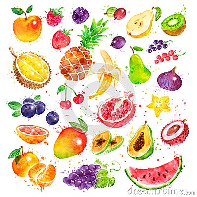 Hand drawn watercolor set of fruit Cartoon Illustration