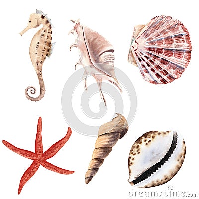 Hand drawn watercolor set with shells, starfish and sea horse isolated Stock Photo