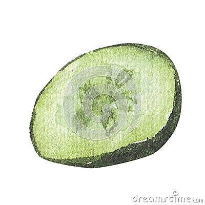 Hand drawn watercolor sliced cucumber sketch Stock Photo