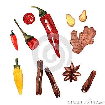 Hand drawn watercolor spices - cinnamon, chilli pepper, ginger, anise Stock Photo