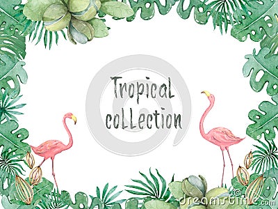 Hand drawn watercolor tropical banner with jungle leaves. Exotic leaves illustrations horizontal frame, jungle tree, brazil trendy Cartoon Illustration