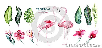 Hand drawn watercolor tropical birds set of flamingo. Exotic rose bird illustrations, jungle tree, brazil trendy art Cartoon Illustration