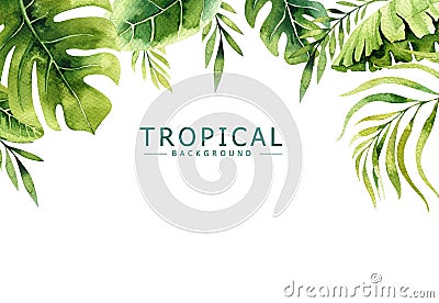 Hand drawn watercolor tropical plants background. Exotic palm leaves, jungle tree, brazil tropic borany elements Stock Photo
