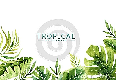 Hand drawn watercolor tropical plants background. Exotic palm leaves, jungle tree, brazil tropic borany elements Stock Photo