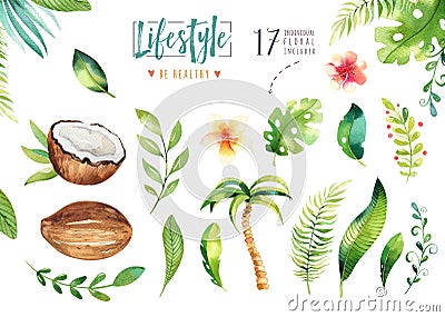 Hand drawn watercolor tropical plants set . Exotic palm leaves, jungle tree, brazil tropic botany elements and flowers Stock Photo