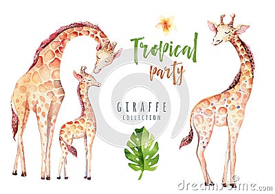 Hand drawn watercolor tropical plants set and giraffe. Exotic palm leaves, jungle tree, brazil tropic botany elements Stock Photo