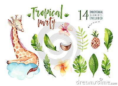 Hand drawn watercolor tropical plants set and giraffe. Exotic palm leaves, jungle tree, brazil tropic botany elements Stock Photo