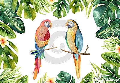 Hand drawn watercolor tropical plants set and parrot. Exotic pa Stock Photo