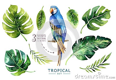 Hand drawn watercolor tropical plants set and parrot. Exotic pa Stock Photo