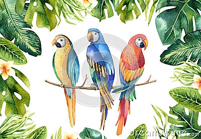 Hand drawn watercolor tropical plants set and parrot. Exotic pa Stock Photo