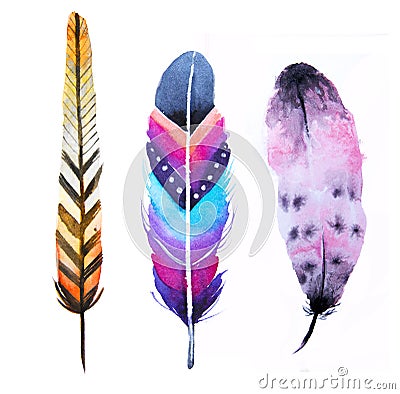 Hand drawn watercolor vibrant feather set. Cartoon Illustration