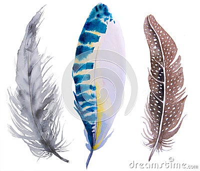 Hand drawn watercolor vibrant feather set. Cartoon Illustration