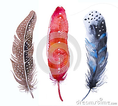 Hand drawn watercolor vibrant feather set. Cartoon Illustration