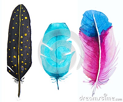 Hand drawn watercolor vibrant feather set. Cartoon Illustration