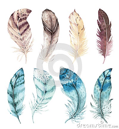 Hand drawn watercolor vibrant feather set. Boho style. illustration isolated on white. Bird fly feathers design for Cartoon Illustration