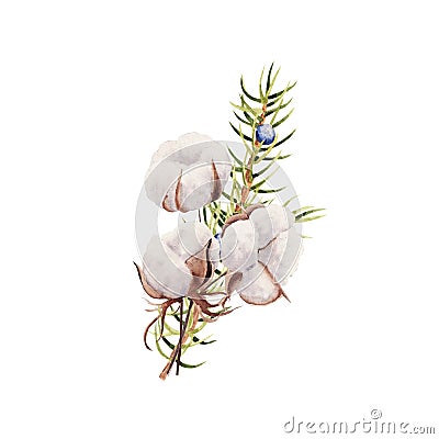 Hand Drawn Watercolor winter bouquet with cotton plant and juniper isolated on white background Stock Photo