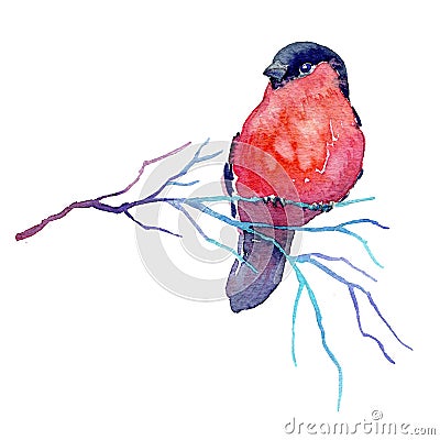 Hand drawn watercolor winter branch with a bird Cartoon Illustration