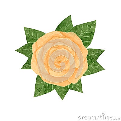 Hand drawn watercolor yellow rose with leaves on the white background. Vector. Vector Illustration