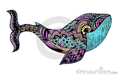 Hand drawn whale. Isolated illustration with high details in zentangle style Vector Illustration