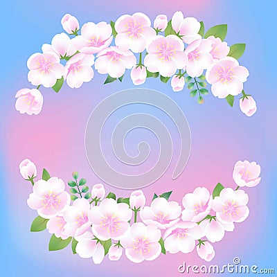 Hand drawn white flowers sakura blossom peach plant decorative illustration, blue pink gradient vector background Vector Illustration