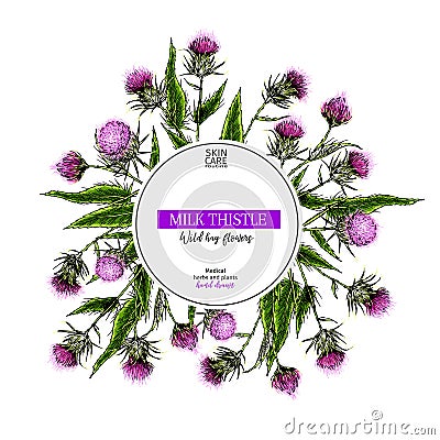 Hand drawn wild hay flowers. Milk marian thistle flower. Medical herb. Colored engraved art. Round composition. For Vector Illustration