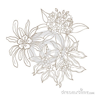 Hand Drawn Wildflower Bouquet. Stock Photo