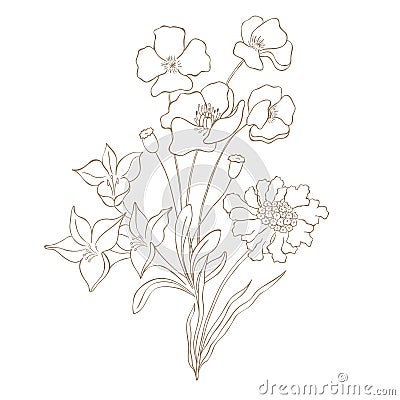 Hand Drawn Wildflower Bouquet. Stock Photo