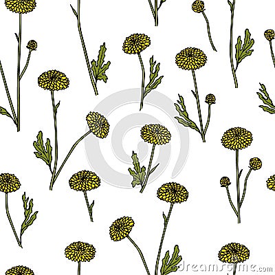 Hand drawn wildflower pattern Vector Illustration