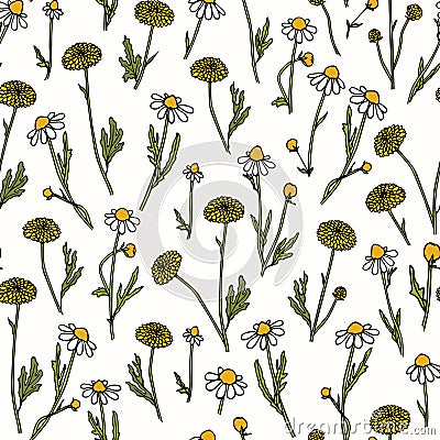 Hand drawn wildflower pattern Vector Illustration