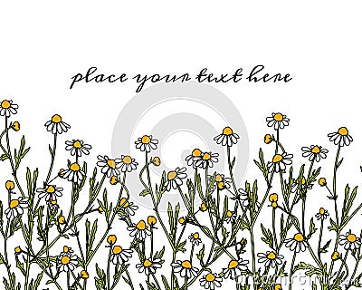 Hand drawn wildflower Vector Illustration