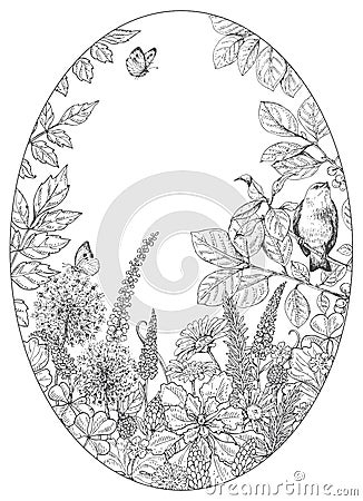 Hand drawn wildflowers, butterflies and bird. Vector Illustration