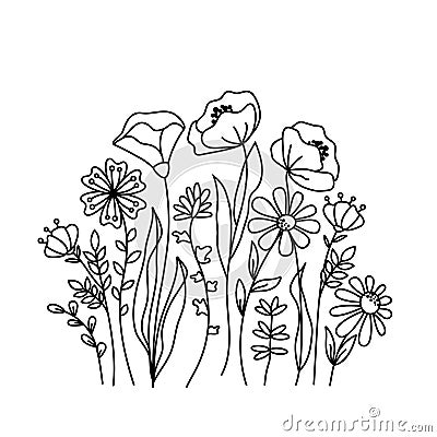 Hand drawn wildflowers meadow. Black and white doodle wild flowers and grass plants. Monochrome floral elements. Vector Illustration