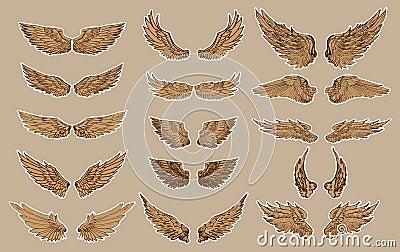 Hand drawn wing vector set.colorful Sticker wing tattoo.Doodle and sketch style tattoo. Vector Illustration