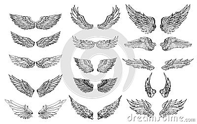 Hand drawn wing vector set. colorful Sticker wing tattoo Vector Illustration