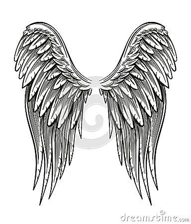 Hand Drawn Wings Vector Illustration