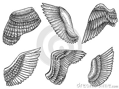 Hand drawn wings. Sketch bird or angel wing with feathers, engraved different heraldic symbols for tattoo or emblem Vector Illustration