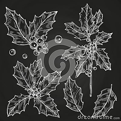 Hand drawn winter holidays botanical decorations vector set Vector Illustration