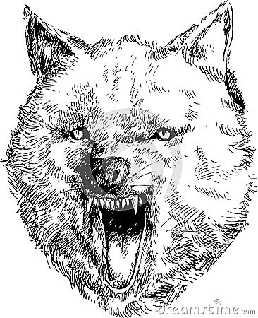 Hand drawn wolf head Vector Illustration