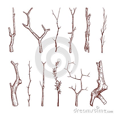 Hand drawn wood twigs, wooden sticks, tree branches vector rustic decoration elements Vector Illustration