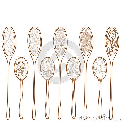 Hand drawn wooden spoons with spices. Vector Illustration