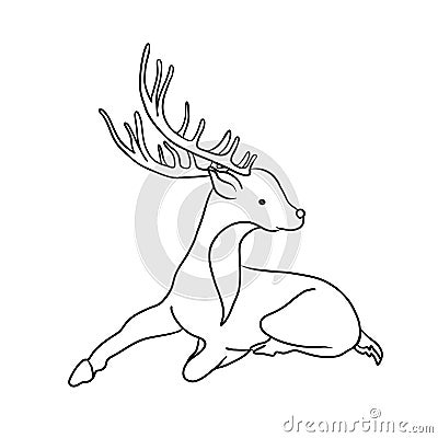 Hand drawn young deer in tribal style. Magic vintage vector illustration in black on white. Children's coloring book Vector Illustration