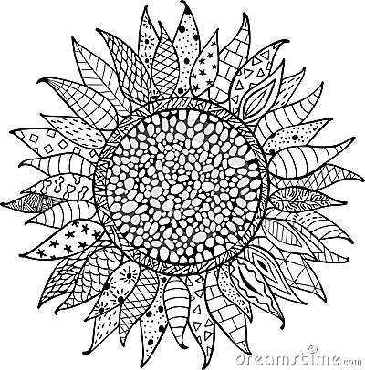 Hand drawn zentangle sunflowers ornament for coloring book Vector Illustration