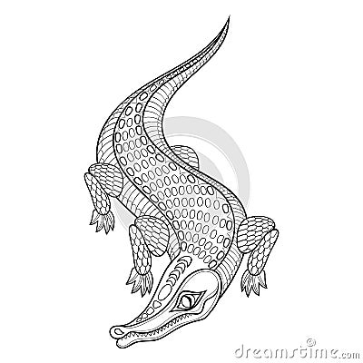 Hand drawn zentangled Crocodile for adult coloring pages Vector Illustration