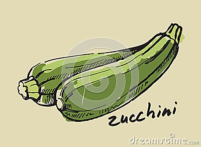 Hand drawn zucchini Vector Illustration